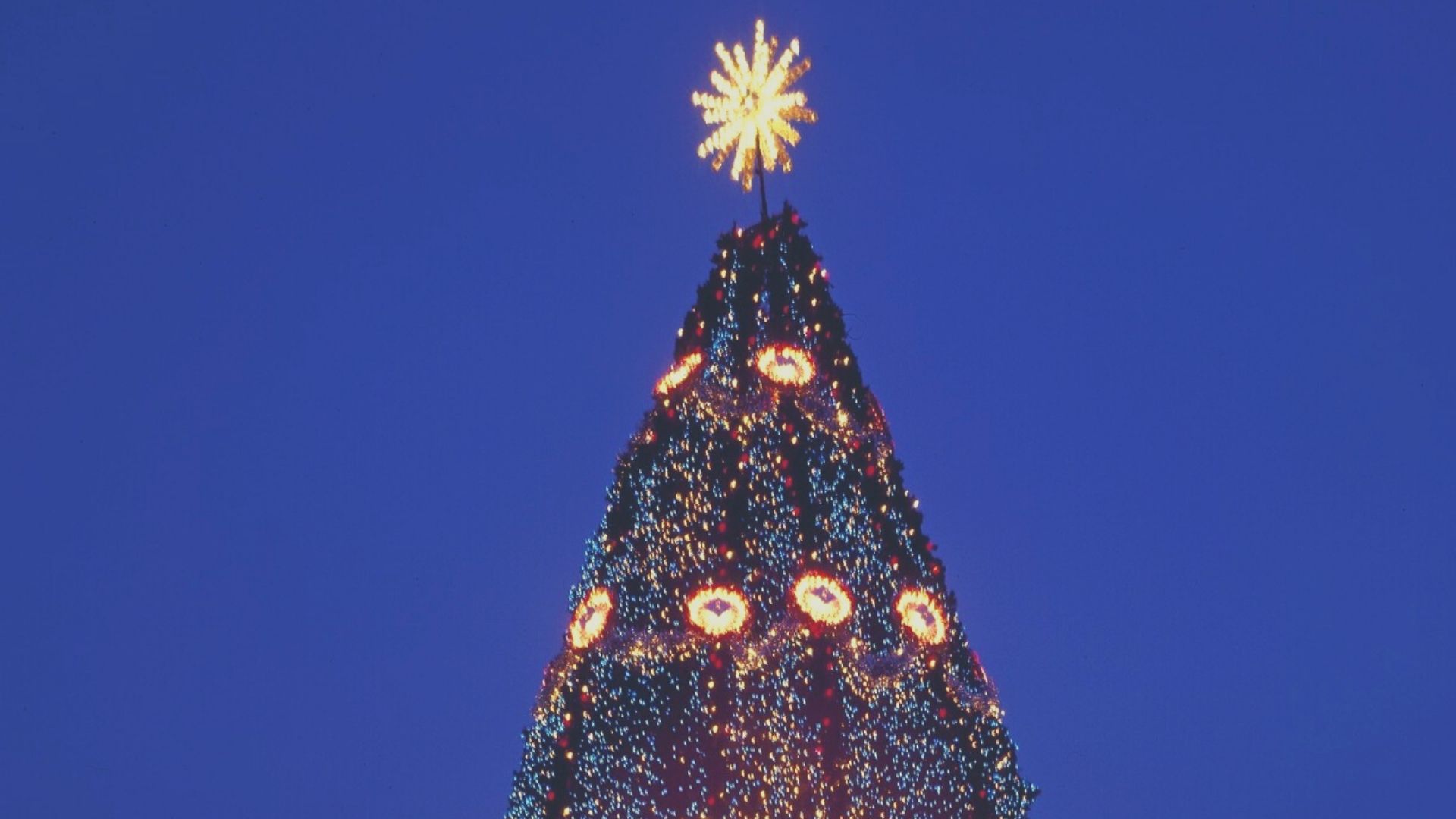 Best Christmas Holiday In Mid Altantic 2022 Holiday Hot Spots In The Mid-Atlantic - Postcard Press